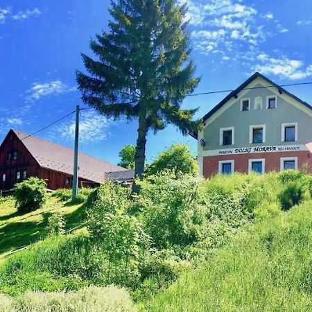Penzion Dolní Morava Buitenkant foto